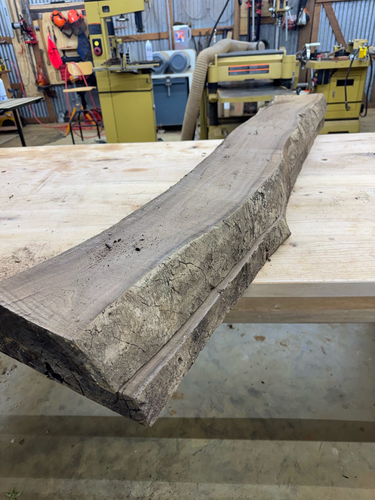 Black walnut bookmatch set, lot BW002, end view of live edge