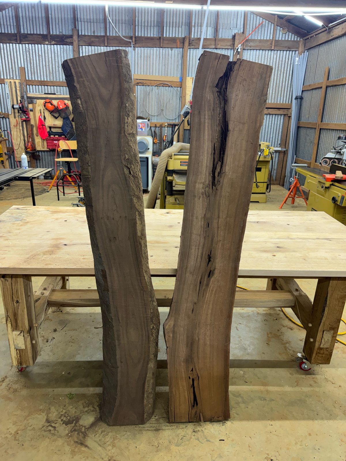 Black walnut bookmatch set, lot BW002, photo 3