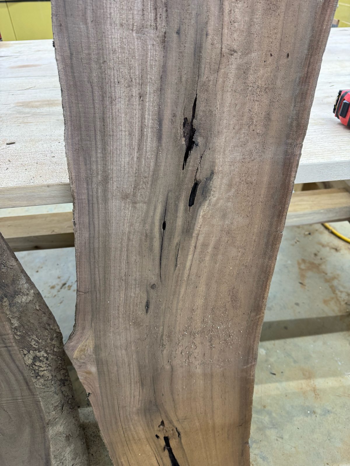 Black walnut bookmatch set, lot BW002, photo 4