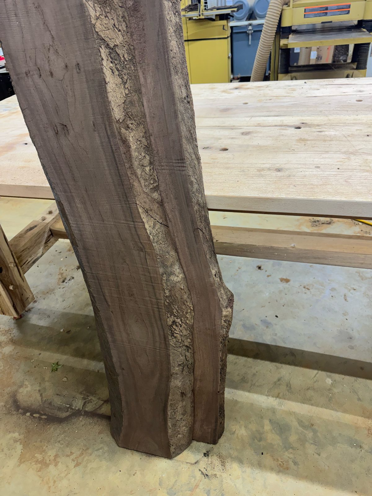 Black walnut bookmatch set, lot BW002, photo 9