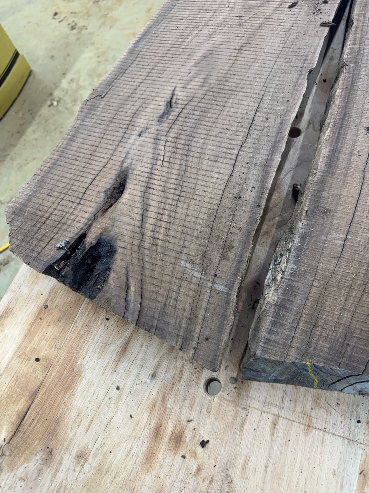 Live edge and end of a rough-sawn walnut flitch, lot BW003