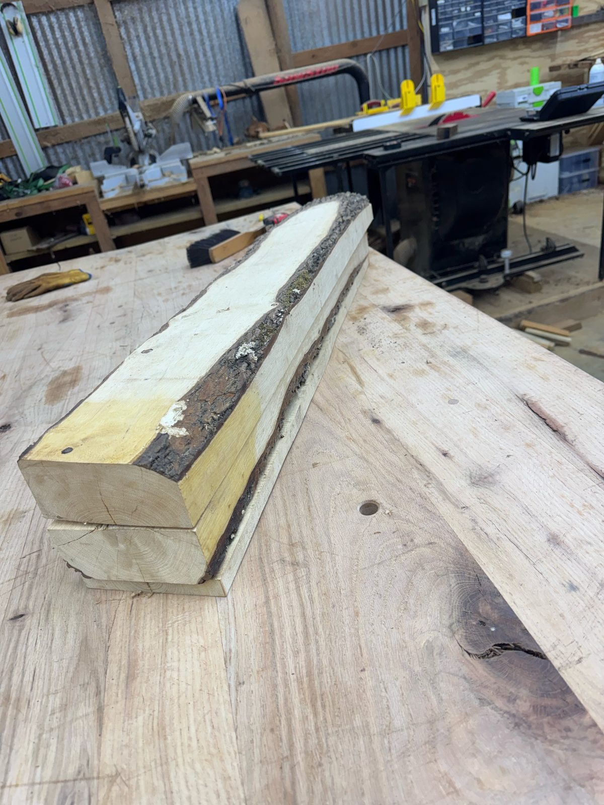 GB001 gum bumelia boards stacked on the shop table, end view
